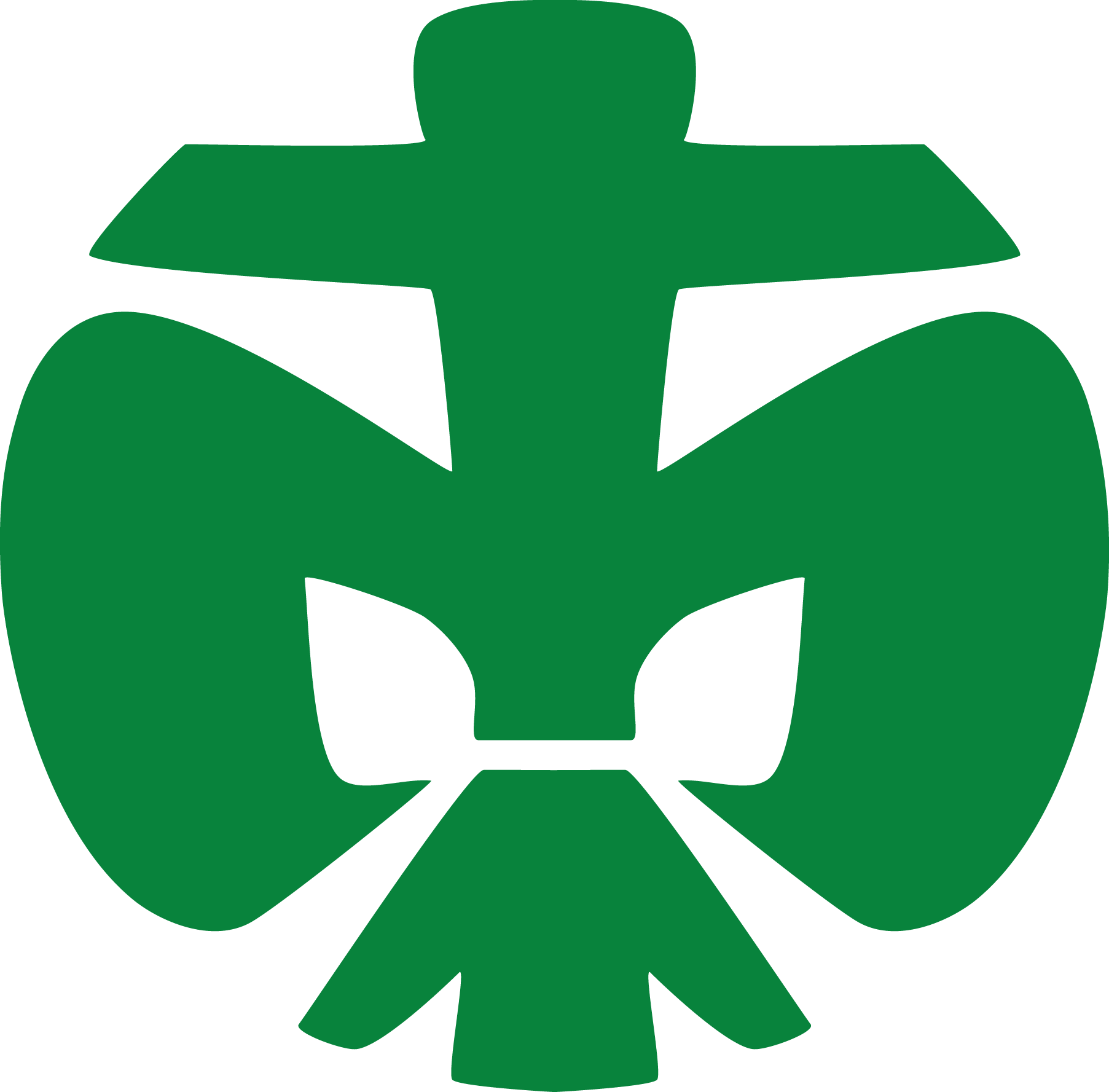 dpsg lilie pfadfinder